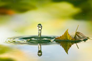Drop photography, Rudolf Vornehm (D) Drop photography, Rudolf Vornehm (D)