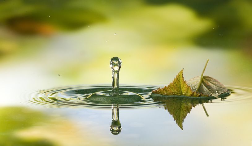 Wassertropfen, Rudolf Vornehm Wassertropfen, Rudolf Vornehm